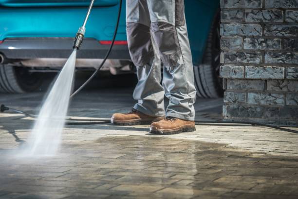 Pre-Holiday Cleaning in Danvers, IL