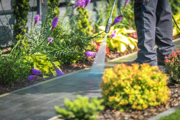 Best Pre-Holiday Cleaning  in Danvers, IL
