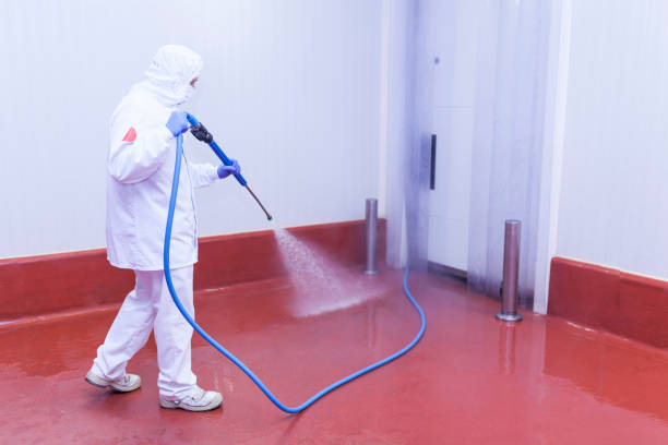 Best Restaurant Pressure Washing  in Danvers, IL