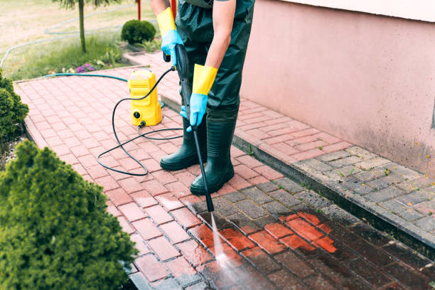 Best House Exterior Washing  in Danvers, IL