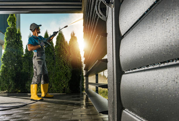 Boat and Dock Cleaning in Danvers, IL